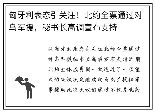 匈牙利表态引关注!北约全票通过对乌军援,秘书长高调宣布支持