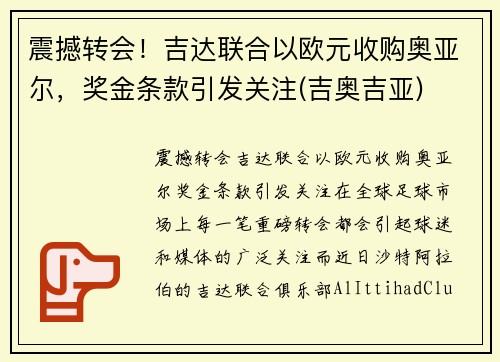 震撼转会！吉达联合以欧元收购奥亚尔，奖金条款引发关注(吉奥吉亚)