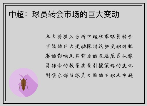 中超：球员转会市场的巨大变动
