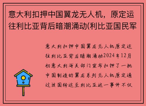 意大利扣押中国翼龙无人机，原定运往利比亚背后暗潮涌动(利比亚国民军翼龙无人机)